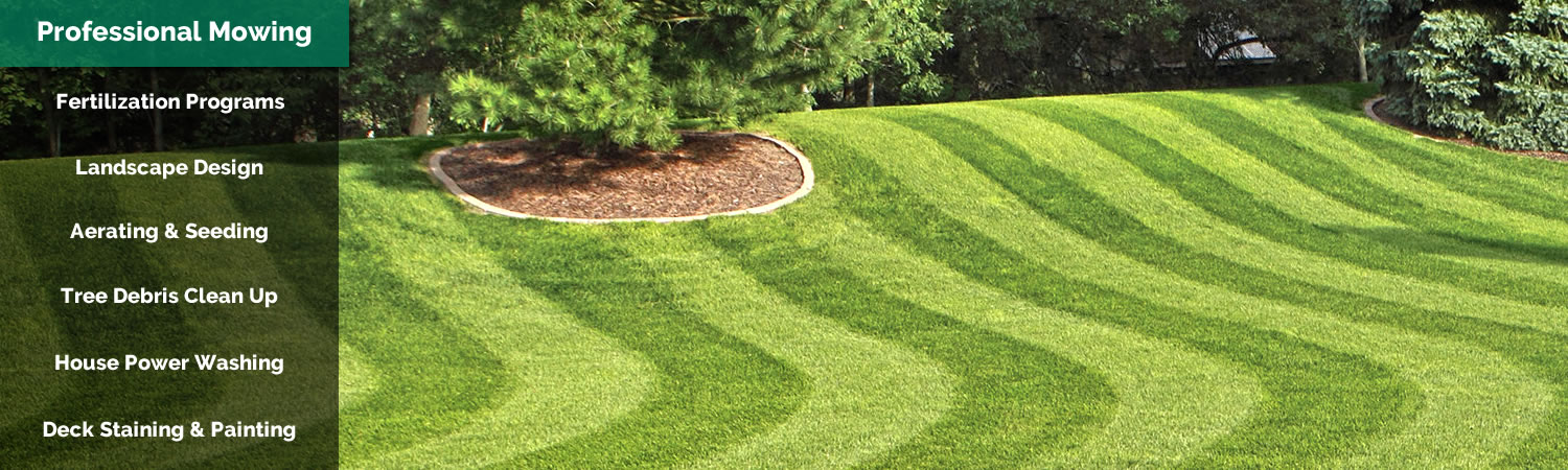 Professional Lawn Mowing