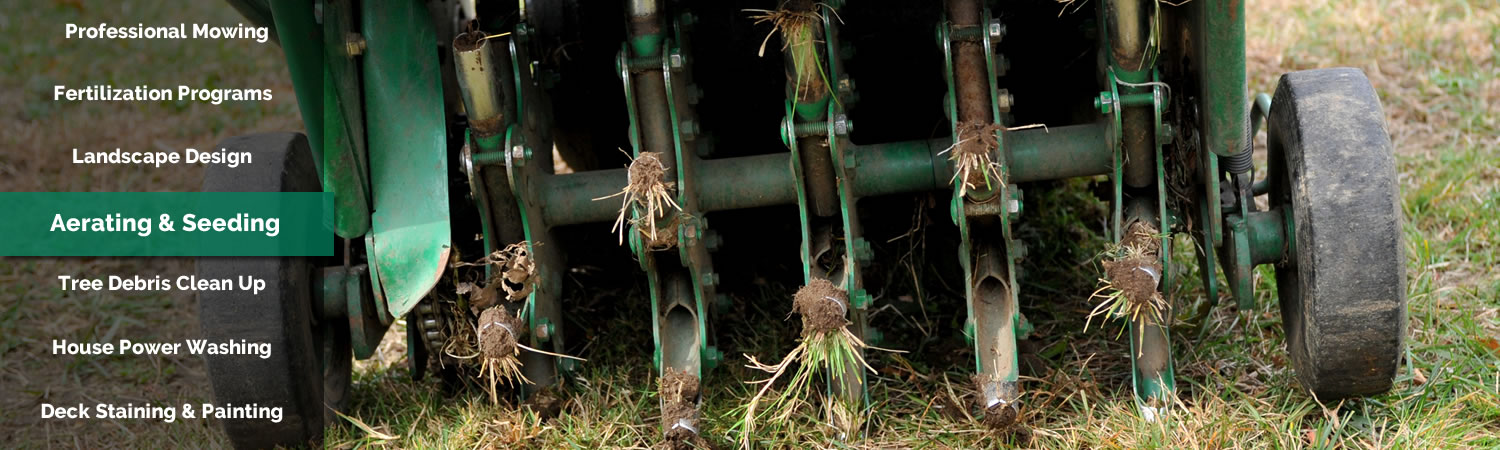 Aerating and Seeding